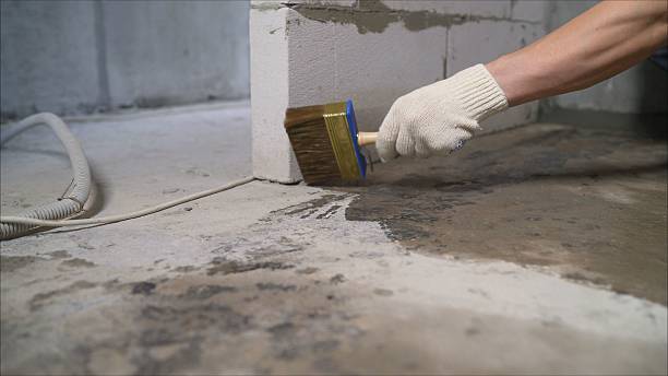 SJ Waterproofing Pros Waterproofing coverage map for Taylorsville, IN and surrounding area